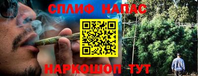 прущие крисы Гатчина
