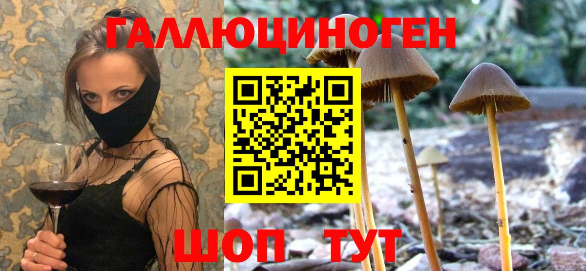 ГАШ  Бошки Шишки  Мценск  ЭКСТАЗИ  ГАШИШ  МЕФ   A-PVP СК   Вход с VPN 