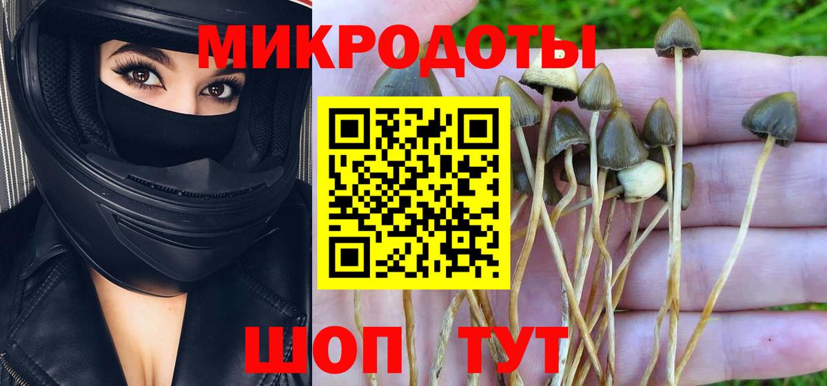 Мценск  Галлюциногенные грибы GOLDEN TEACHER  купить  сайты  Вход с VPN 