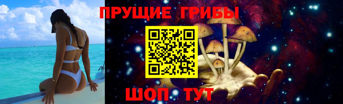 Псилоцибиновые грибы прущие грибы Мценск